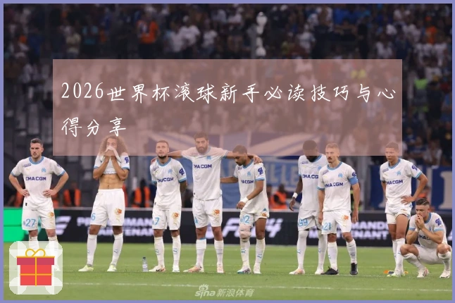 2026世界杯滚球新手必读技巧与心得分享