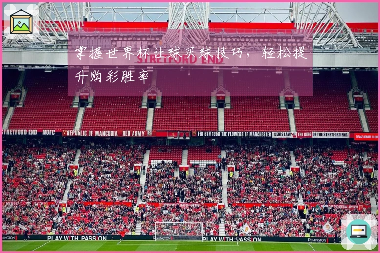 掌握世界杯让球买球技巧，轻松提升购彩胜率