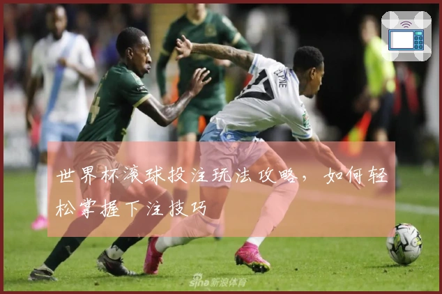 世界杯滚球投注玩法攻略，如何轻松掌握下注技巧
