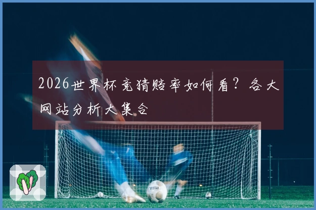 2026世界杯竞猜赔率如何看？各大网站分析大集合