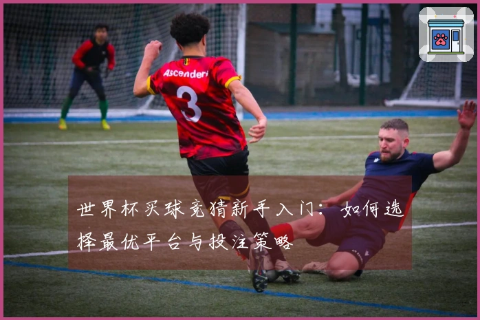 世界杯买球竞猜新手入门：如何选择最优平台与投注策略