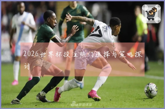 2026世界杯投注热门选择与策略探讨