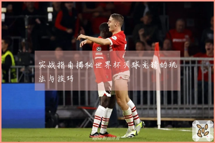 实战指南揭秘世界杯买球竞猜的玩法与技巧