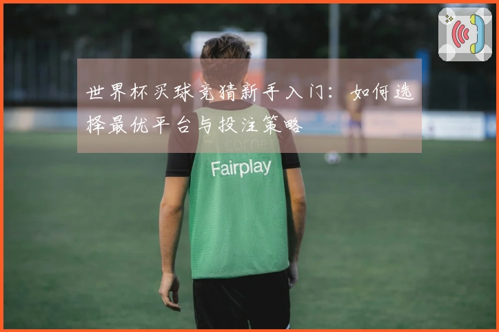 世界杯买球竞猜新手入门：如何选择最优平台与投注策略