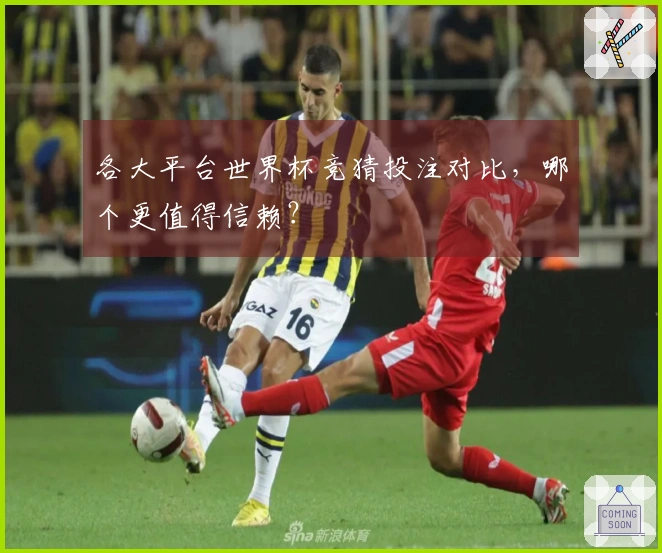 各大平台世界杯竞猜投注对比，哪个更值得信赖？
