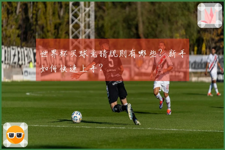 世界杯买球竞猜规则有哪些？新手如何快速上手？
