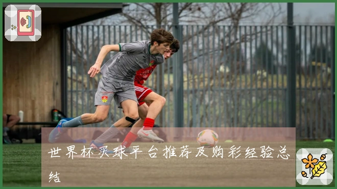 世界杯买球平台推荐及购彩经验总结