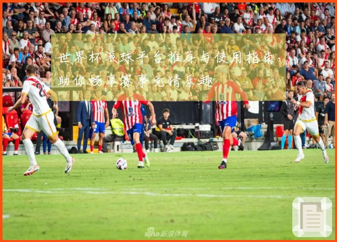 世界杯滚球平台推荐与使用指南，助你畅享赛事竞猜乐趣