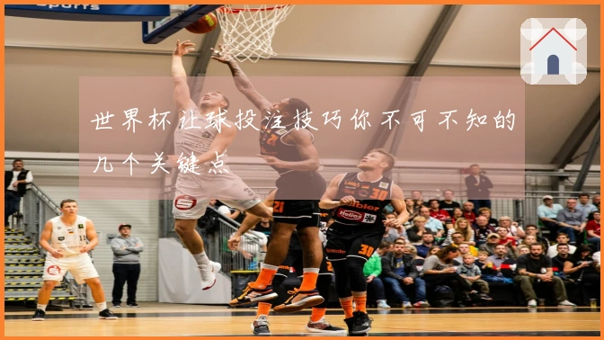 世界杯让球投注技巧你不可不知的几个关键点